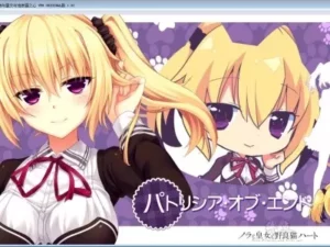 【Gal】【PC】野良与皇女与流浪猫之心 VFB-量子ACG