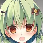 鹙翎的头像-量子ACG