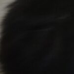 Marx的头像-量子ACG